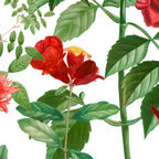 Rousing Red Botanical Coffee Mug Gallery Image 2