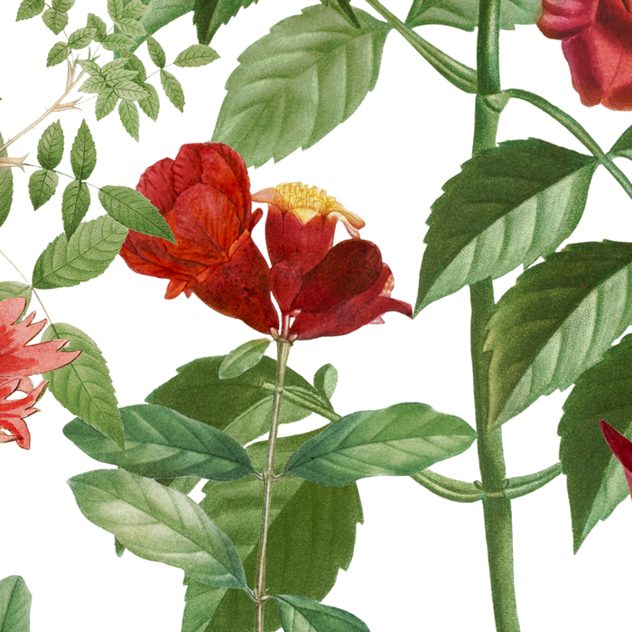 Rousing Red Botanical Coffee Mug Gallery Image 2