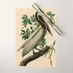 Brown Pelican, Birds of America by John James Audubon Wrapping Paper Gallery Image 1