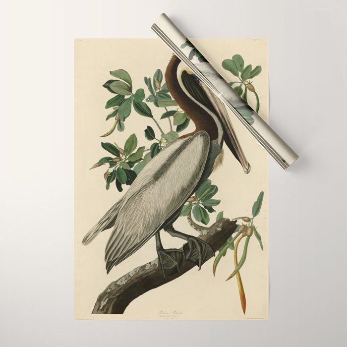 Brown Pelican, Birds of America by John James Audubon Wrapping Paper Gallery Image 1