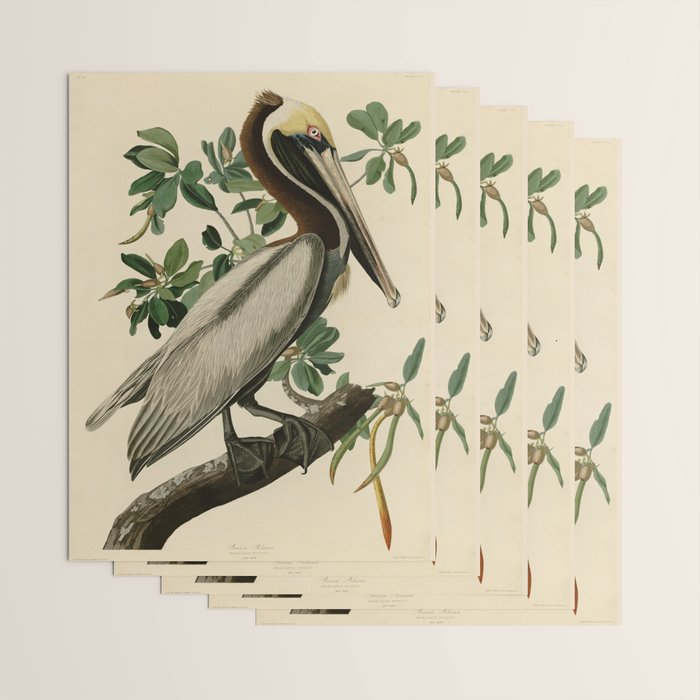 Brown Pelican, Birds of America by John James Audubon Wrapping Paper Gallery Image 3