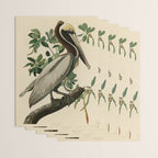 Brown Pelican, Birds of America by John James Audubon Wrapping Paper Gallery Image 3