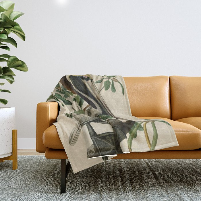 Brown Pelican, Birds of America by John James Audubon Throw Blanket Gallery Image 1