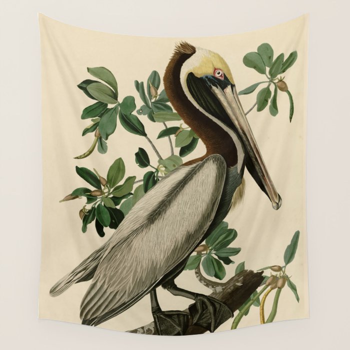 Brown Pelican, Birds of America by John James Audubon Wall Tapestry Gallery Image 4