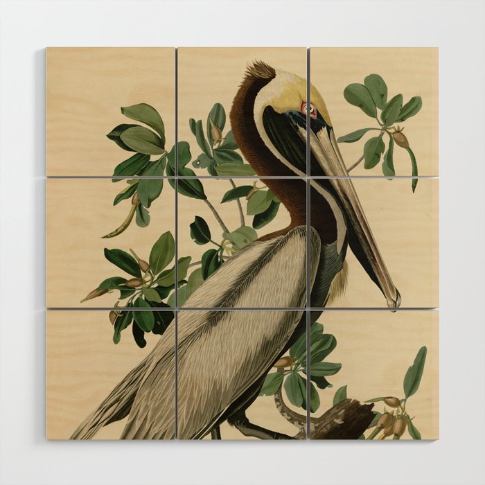 Brown Pelican, Birds of America by John James Audubon Wood Wall Art Gallery Image 1