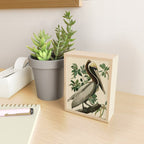 Brown Pelican, Birds of America by John James Audubon Mini Art Print Gallery Image 2