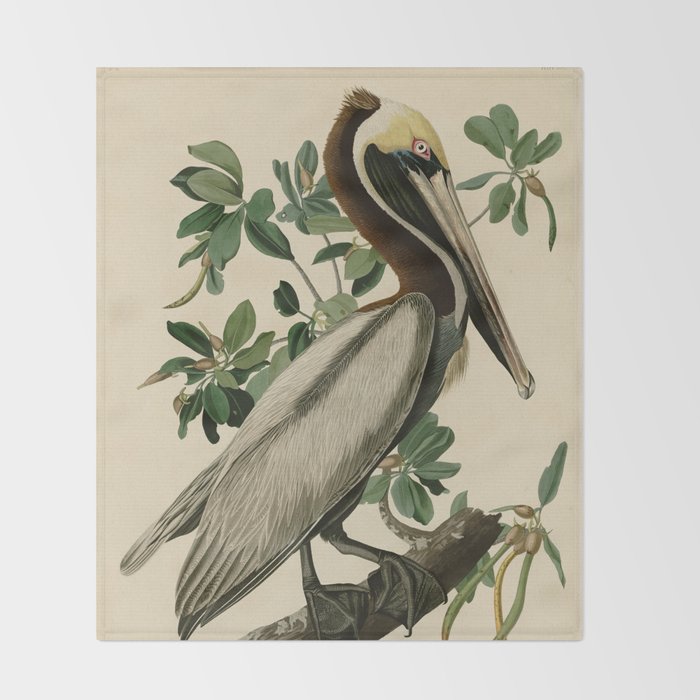 Brown Pelican, Birds of America by John James Audubon Throw Blanket Gallery Image 2