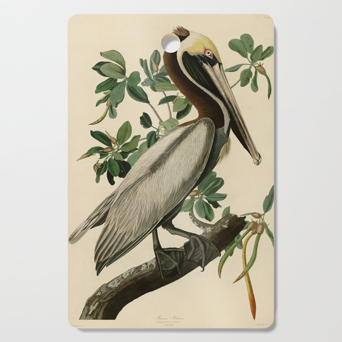 Brown Pelican, Birds of America by John James Audubon Cutting Board Gallery Image 1
