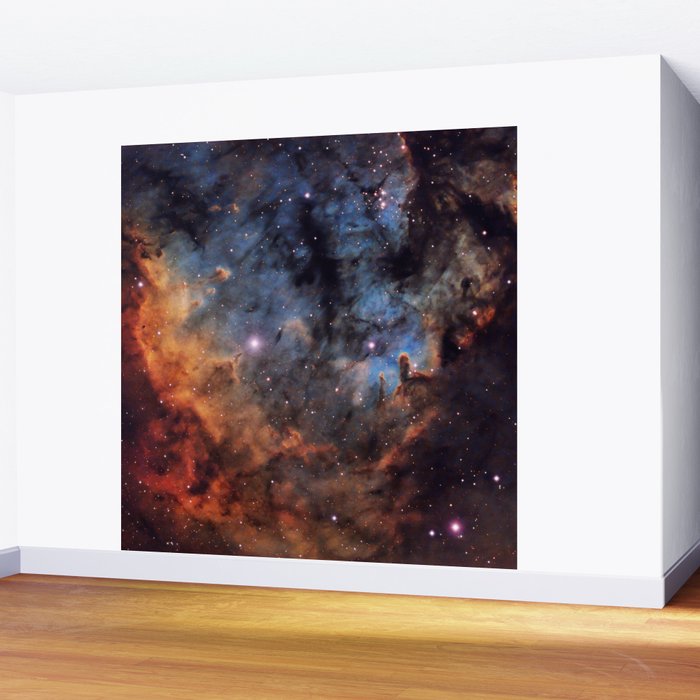 The Devil Nebula Wall Mural Gallery Image 2