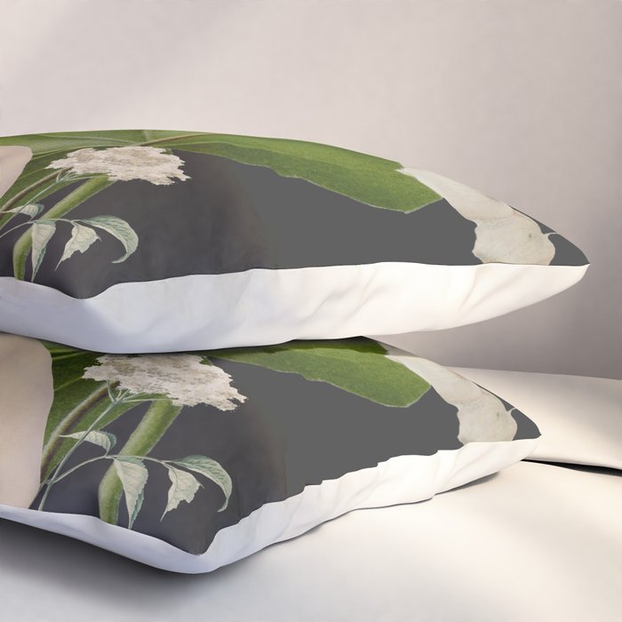 Minimal Collage/ Hand, Plants and Butterflies 6 Pillow Sham Gallery Image 3