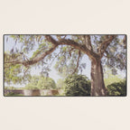 Lowcountry Live Oak x Coastal South Carolina Photography Desk Mat Gallery Image 3
