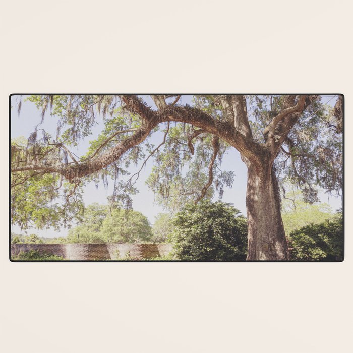 Lowcountry Live Oak x Coastal South Carolina Photography Desk Mat Gallery Image 3