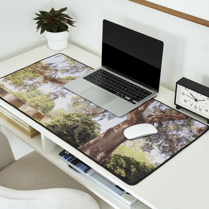 Lowcountry Live Oak x Coastal South Carolina Photography Desk Mat Gallery Image 2