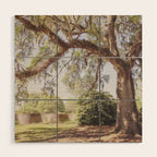 Lowcountry Live Oak x Coastal South Carolina Photography Wood Wall Art Gallery Image 1