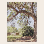 Lowcountry Live Oak x Coastal South Carolina Photography Poster Gallery Image 4