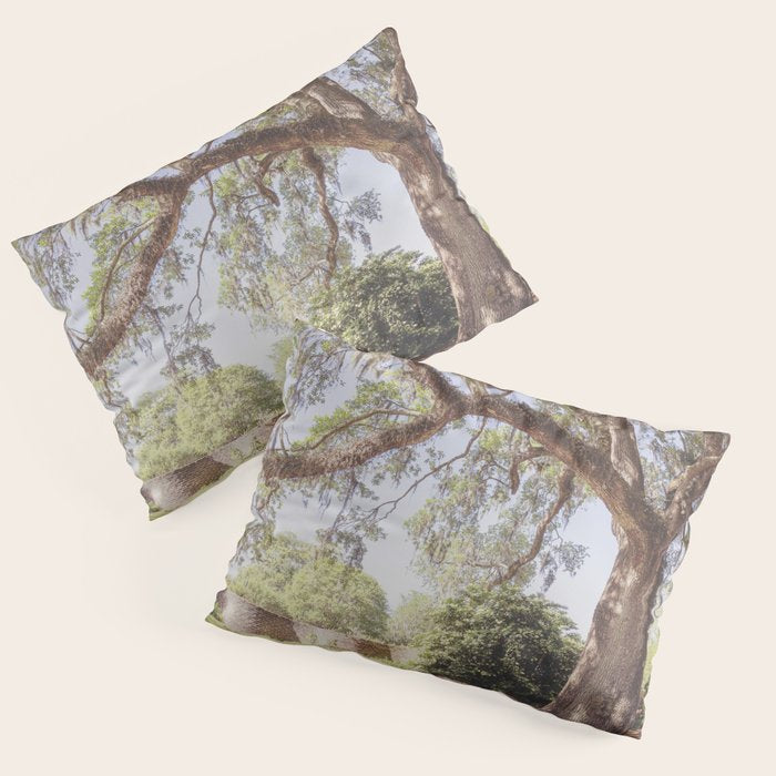 Lowcountry Live Oak x Coastal South Carolina Photography Pillow Sham Gallery Image 3