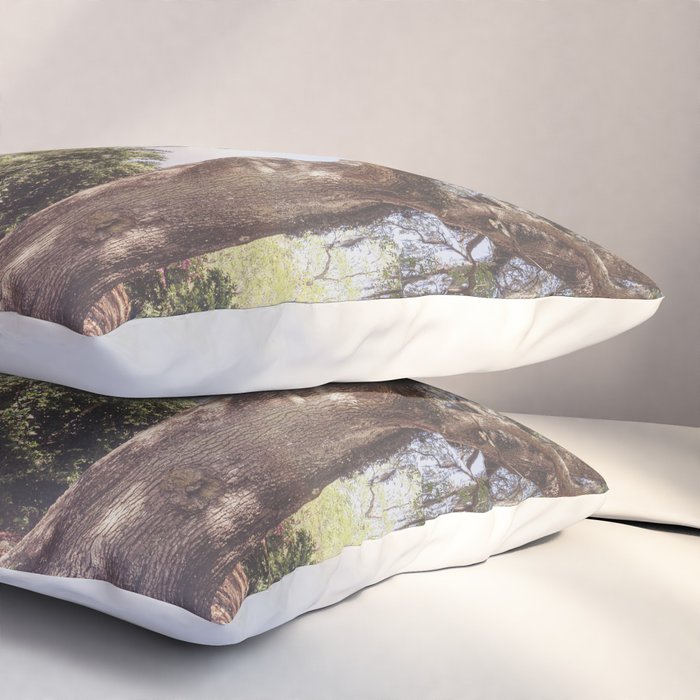 Lowcountry Live Oak x Coastal South Carolina Photography Pillow Sham Gallery Image 3