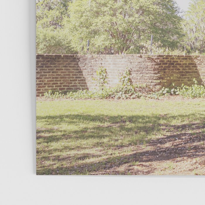 Lowcountry Live Oak x Coastal South Carolina Photography Poster Gallery Image 3