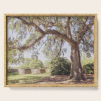 Lowcountry Live Oak x Coastal South Carolina Photography Serving Tray Gallery Image 1