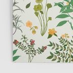 Vintage Wildflowers / Cozy Botanicals Poster Gallery Image 3