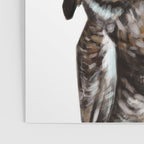 Owl Poster Gallery Image 3