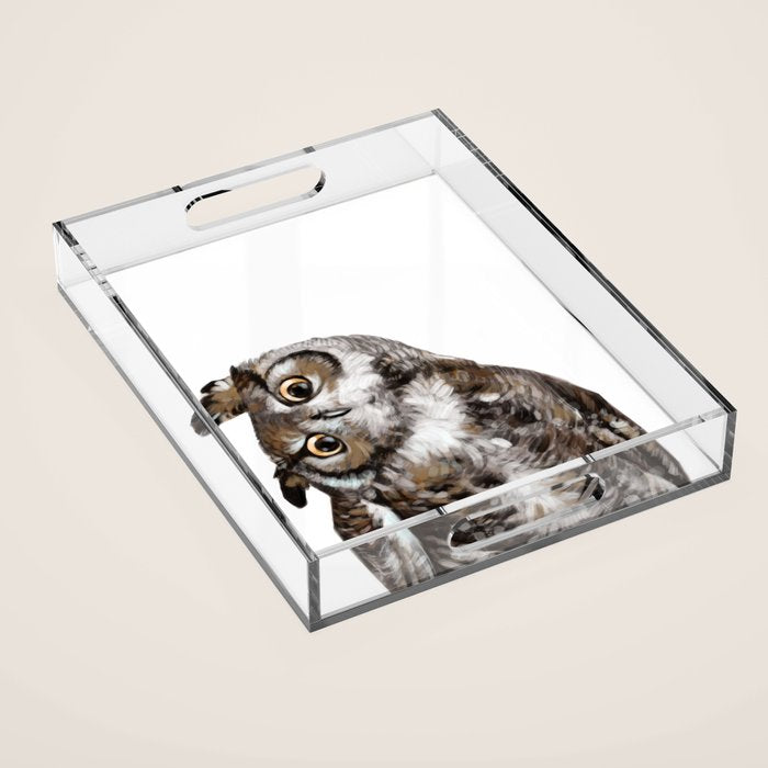 Owl Acrylic Tray Gallery Image 1