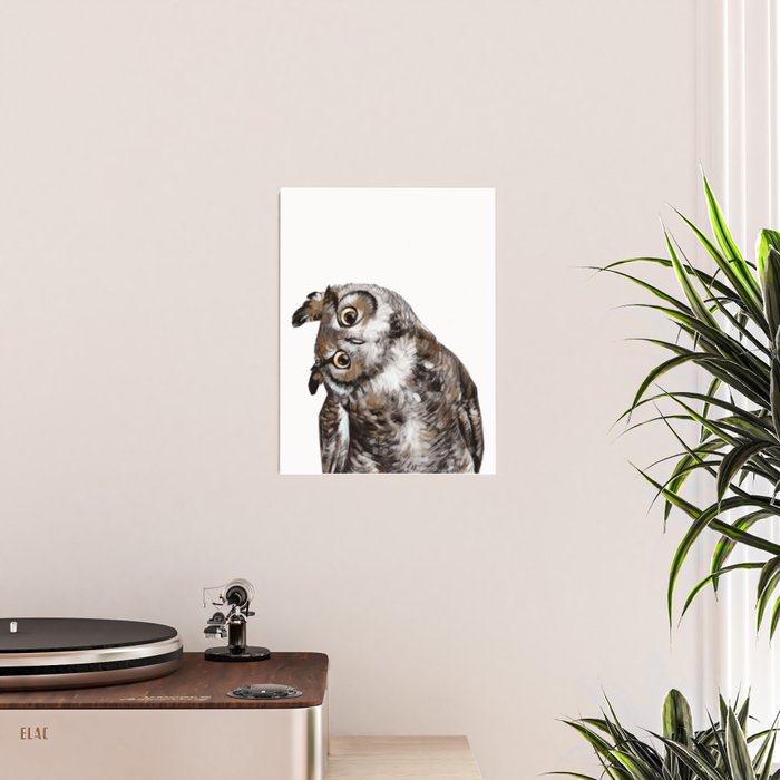 Owl Poster Gallery Image 2