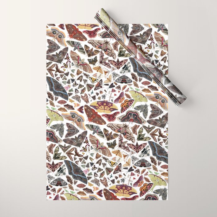 Moths of North America Pattern Wrapping Paper Gallery Image 1