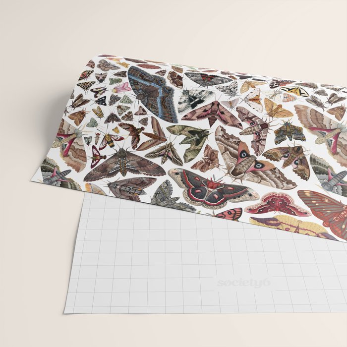 Moths of North America Pattern Wrapping Paper Gallery Image 2