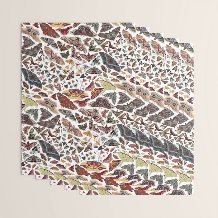 Moths of North America Pattern Wrapping Paper Gallery Image 3