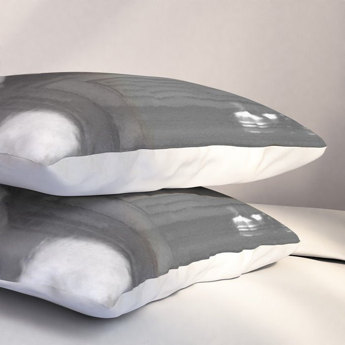 Funny Einstein in Fuzzy Slippers Classic Black and White Satirical Photography - Photographs Pillow Sham Gallery Image 3