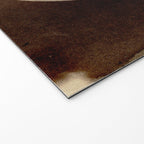Antique Photo Of The Moon Welcome Mat Gallery Image 2