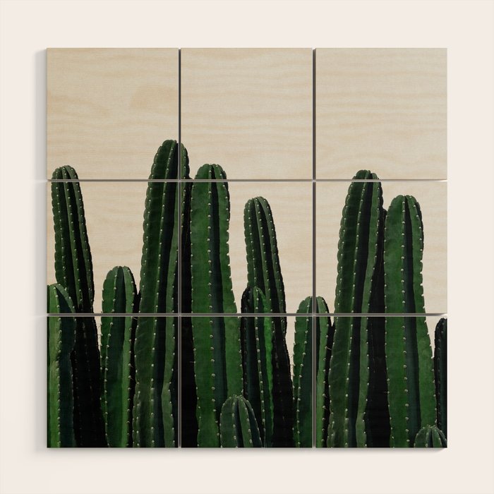 Cactus I Wood Wall Art Gallery Image 1