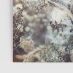 Whisperings of Nature Poster Gallery Image 3
