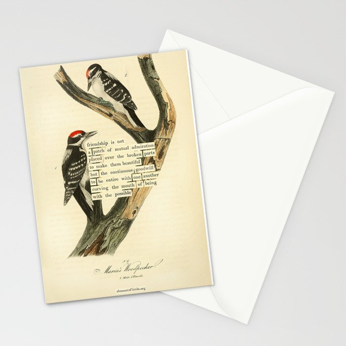 Bird Divinations: Maria's Woodpecker (about: almanacofbirds.org) Stationery Card Gallery Image 2