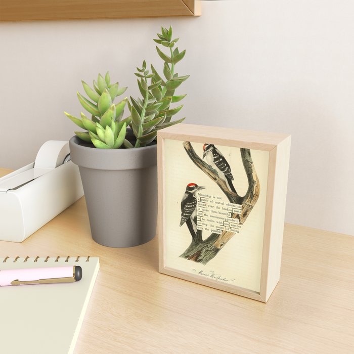 Bird Divinations: Maria's Woodpecker (about: almanacofbirds.org) Mini Art Print Gallery Image 2