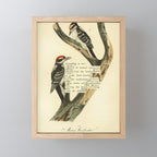 Bird Divinations: Maria's Woodpecker (about: almanacofbirds.org) Mini Art Print Gallery Image 1