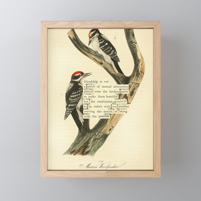 Bird Divinations: Maria's Woodpecker (about: almanacofbirds.org) Mini Art Print Gallery Image 1