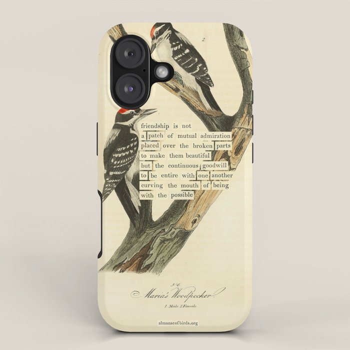 Bird Divinations: Maria's Woodpecker (about: almanacofbirds.org) iPhone Case Gallery Image 1
