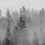 Black and White Forest Abstract Coffee Mug Gallery Image 2