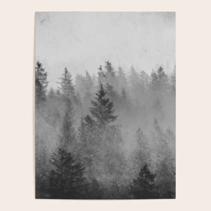 Black and White Forest Abstract Poster Gallery Image 4