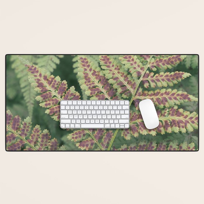 fern - nature photography foliage plant Desk Mat Gallery Image 1