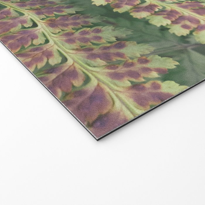 fern - nature photography foliage plant Welcome Mat Gallery Image 2