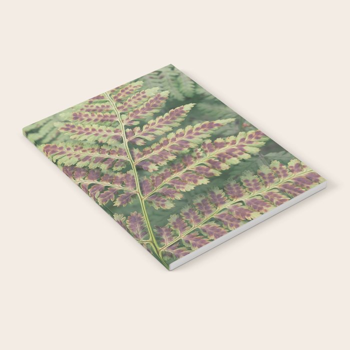 fern - nature photography foliage plant Notebook Gallery Image 1