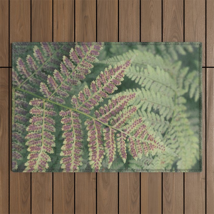 fern - nature photography foliage plant Outdoor Rug Gallery Image 1