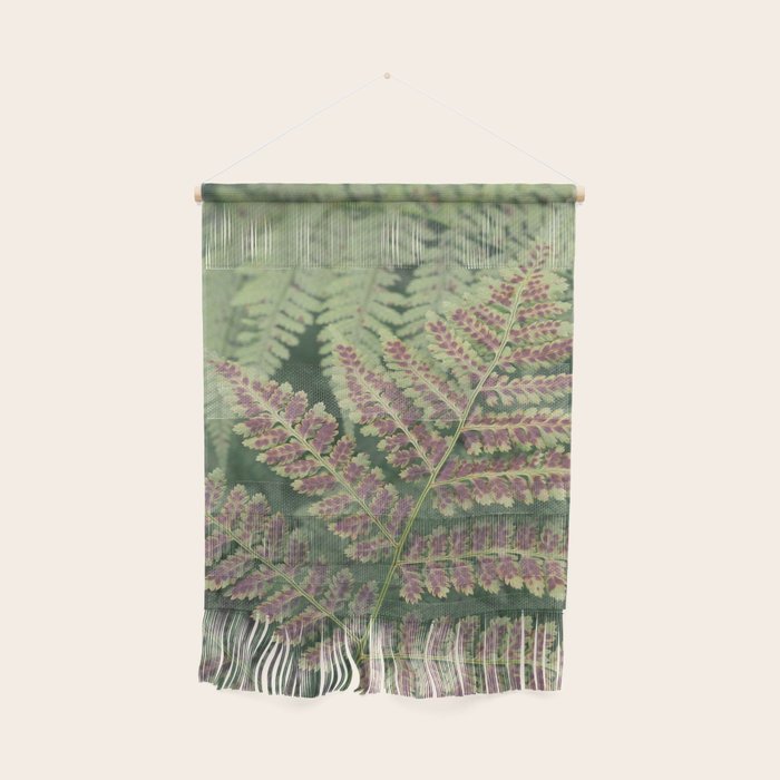 fern - nature photography foliage plant Wall Hanging Gallery Image 1
