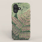 fern - nature photography foliage plant iPhone Case Gallery Image 1