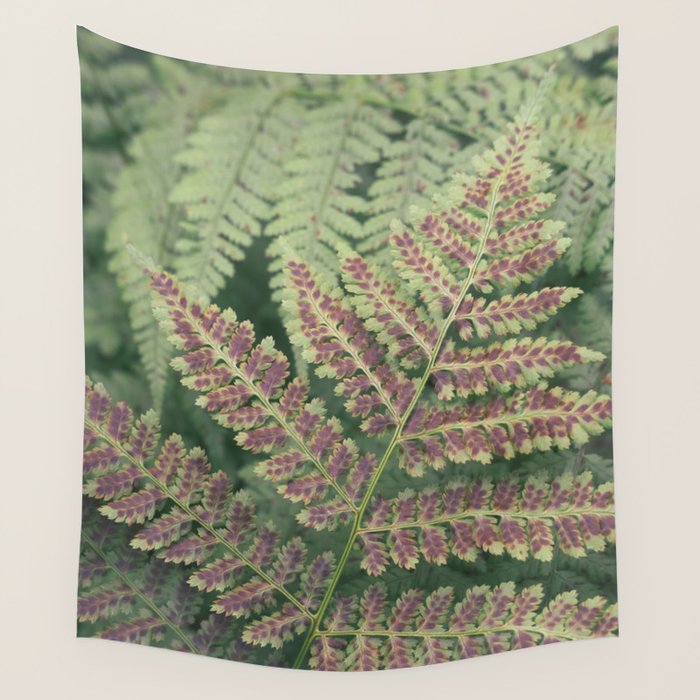 fern - nature photography foliage plant Wall Tapestry Gallery Image 4