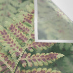 fern - nature photography foliage plant Wall Tapestry Gallery Image 3
