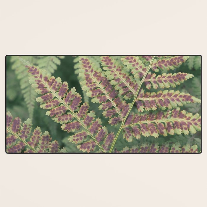 fern - nature photography foliage plant Desk Mat Gallery Image 3